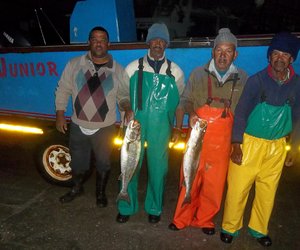 Uiteindelik, geelbek!